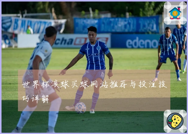 世界杯滚球买球网站推荐与投注技巧详解