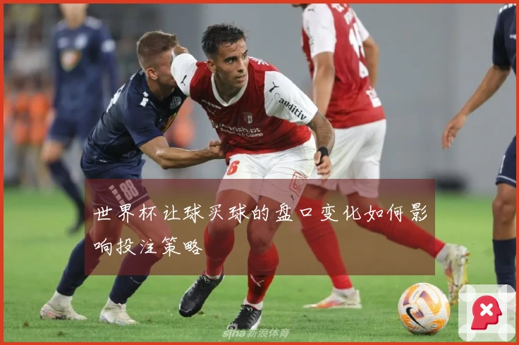 世界杯让球买球的盘口变化如何影响投注策略