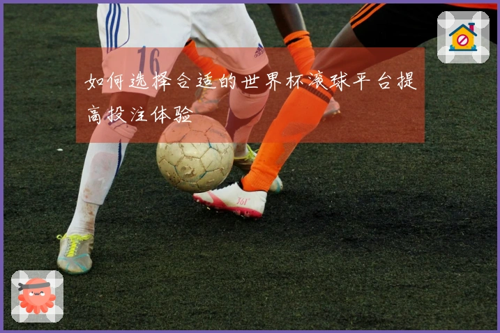 如何选择合适的世界杯滚球平台提高投注体验