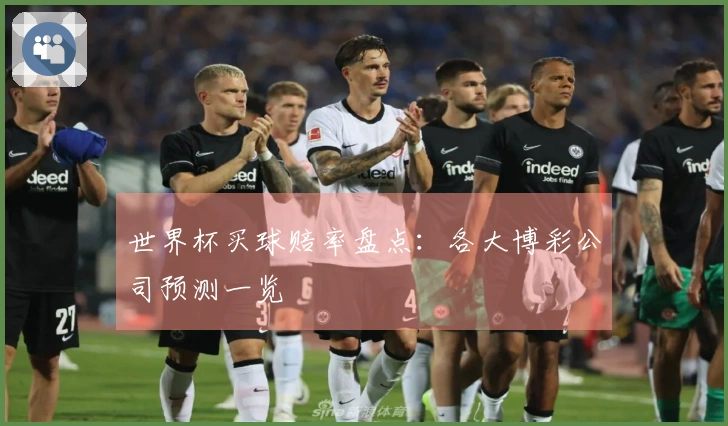 世界杯买球赔率盘点：各大博彩公司预测一览