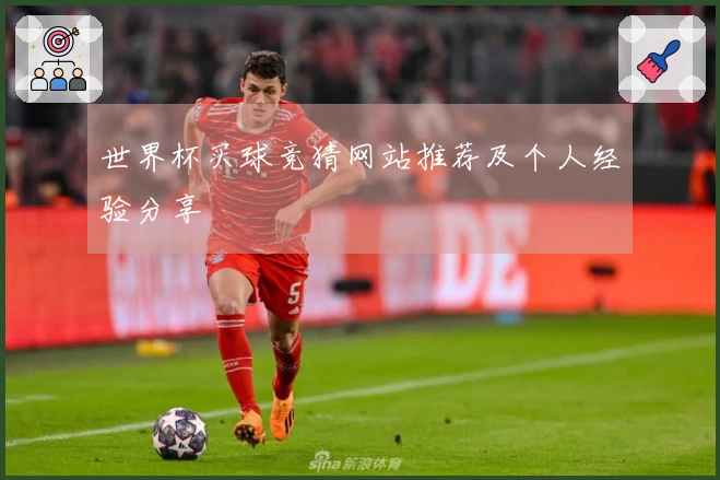 世界杯买球竞猜网站推荐及个人经验分享