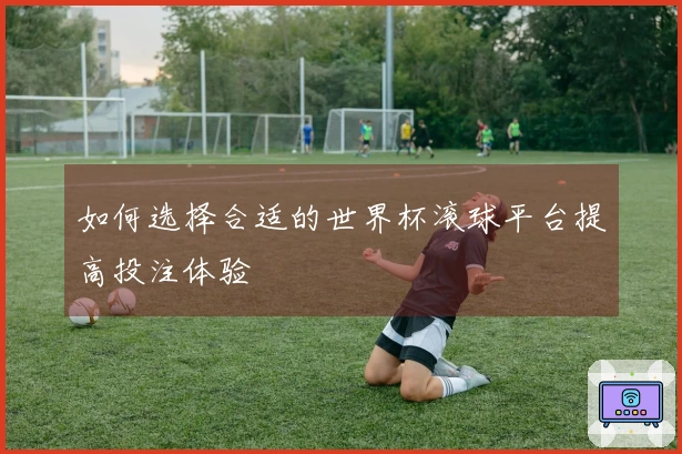 如何选择合适的世界杯滚球平台提高投注体验